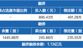 新能源：融資凈買入405.15萬元，融資余額9877.44萬元（12-20）